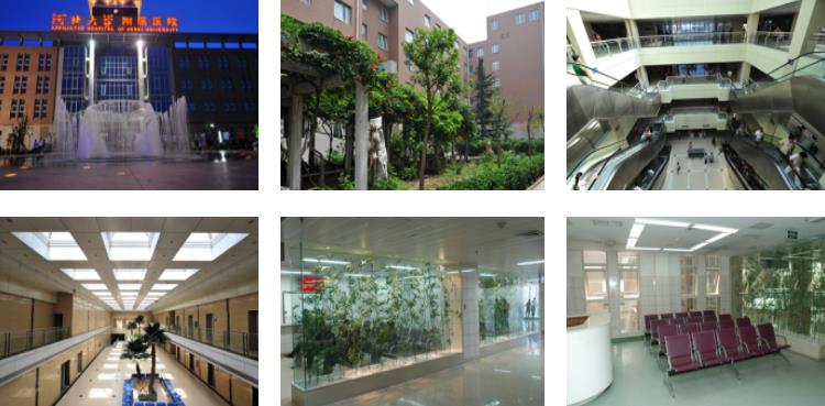 河北大学附院