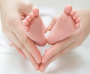 o型血供卵试管婴儿没做排异成功几率高吗？